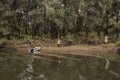 Fishermen fishing with fishing rods from river bank with bushes and thickets Royalty Free Stock Photo