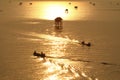 Fishermen in the golden sea, Morning Bay Bangtabun Royalty Free Stock Photo