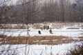 Fishermen on the ice, winter fishing, frozen pond