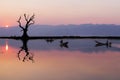 Fishermen in Inle lakes sunset, Myanmar. Royalty Free Stock Photo