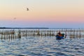 Lake of the Albufera at dawn. Valencia