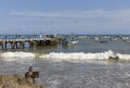 Fishermen on Mancora Fishing Pier unloading their Boat, while a Horse Rider rides along the beach. Royalty Free Stock Photo