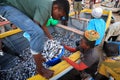 Fishermen and market women trading fish