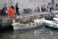 Fishermen in the Port of Dubrovnic in Croatia Europe Royalty Free Stock Photo