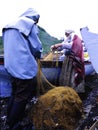 Fishermen prepare their nets in the Black Sea