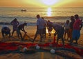Fishermen pull the net out of the Indian Ocean