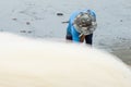Fishermen pulling a fishing net Royalty Free Stock Photo