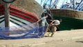 Fishermen pulling fishing net - Africa