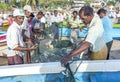 Fishermen remove their catch from their nets on Arugam Bay beach in Sri Lanka.