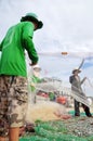 Fishermen are removing anchovies fish from their nets to start a new working day in Ly Son island Royalty Free Stock Photo