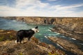 Fishermen route in the Alentejo, promenade with cliffs in Portugal.