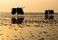 Fishermen at sea beach Royalty Free Stock Photo