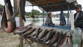 fishermen selling fish in Sangele Village, Poso Regency, Central Sulawesi, Indonesia Royalty Free Stock Photo