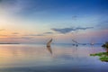 Sailboat on Lake Victoria Royalty Free Stock Photo