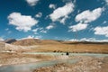 Fishermen sit and wait for the fish biting on a mountain river at the sunny morning Royalty Free Stock Photo