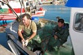 Fishermen sorting catch, Spain.