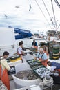 Fishermen sorting out the catch on a boat deck Royalty Free Stock Photo