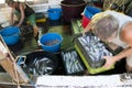 Fishermen sorting out the catch on a deck of a trawler boat Royalty Free Stock Photo