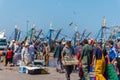 Fishermen sorting and selling freshly caught fish in the port of Essaouira