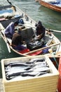 Fishermen sorting their catch of the day