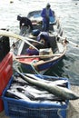 Fishermen sorting their catch of the day