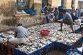 Fishermen stack fish into boxes Royalty Free Stock Photo