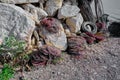 Fishermen stuff and fishnet for fishing standing on the rocks Royalty Free Stock Photo