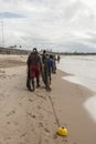 Fishermen taking the big net to the colony