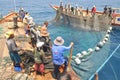 Fishermen are trawling for tuna fish in the sea of Nha Trang bay in Vietnam