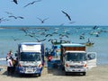 Fishermen unload a fish catch in Libertad city, Ecuador Royalty Free Stock Photo