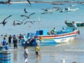 Fishermen unload a fish catch in Libertad city, Ecuador Royalty Free Stock Photo