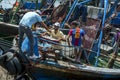 Fishermen unload their catch from a trawler at the busy harbour at Essaouira in Morocco. Royalty Free Stock Photo