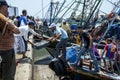 Fishermen unload their catch from a trawler at the busy harbour at Essaouira in Morocco. Royalty Free Stock Photo