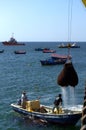 Fishermen unloading a trawl net in Mejillones, near Antofagasta, Chile