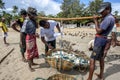 Fishermen weigh a basket of fish on Uppuveli beach in Sri Lanka.