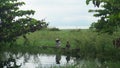 Fishermen work on Lake Poso, Poso Regency, Central Sulawesi, Indonesia Royalty Free Stock Photo