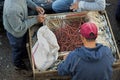 Fishermen at work Royalty Free Stock Photo