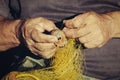 Fishers hands take fish out of a net
