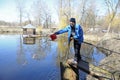 At a fishery: man worker feeding adult sturgeons growing in a hatchling pond. Kiev, Ukraine