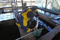 At a fishery: worker taking sturgeon out from a hatchling tank