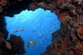 Fish in cave Royalty Free Stock Photo