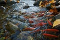Fishes go for spawning upstream. Generative AI