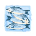 Fishes in plastic tray, frozen or cold fresh seafood portion in styrofoam package