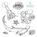 Fishes or sea creature octopus and squid, calamari. red lionfish and great hammerhead shark. engraved hand drawn in old