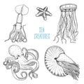 Fishes or seafood or sea creature nautilus pompilius, jellyfish and starfish. octopus and squid, calamari. engraved hand Royalty Free Stock Photo