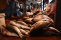 Fishes are for Selling in the Local Market