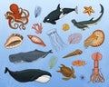 Fishes set or sea creature Blue Whales., jellyfish and starfish. octopus and squid, calamari, hammerhead shark. green Royalty Free Stock Photo