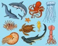 Fishes set or sea creature nautilus pompilius, jellyfish and starfish. octopus and squid, calamari. dolphin and Royalty Free Stock Photo