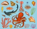 Fishes set or sea creature nautilus pompilius, jellyfish and starfish. octopus and squid, calamari. dolphin and Royalty Free Stock Photo