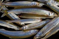 Fishes (smelt) 6